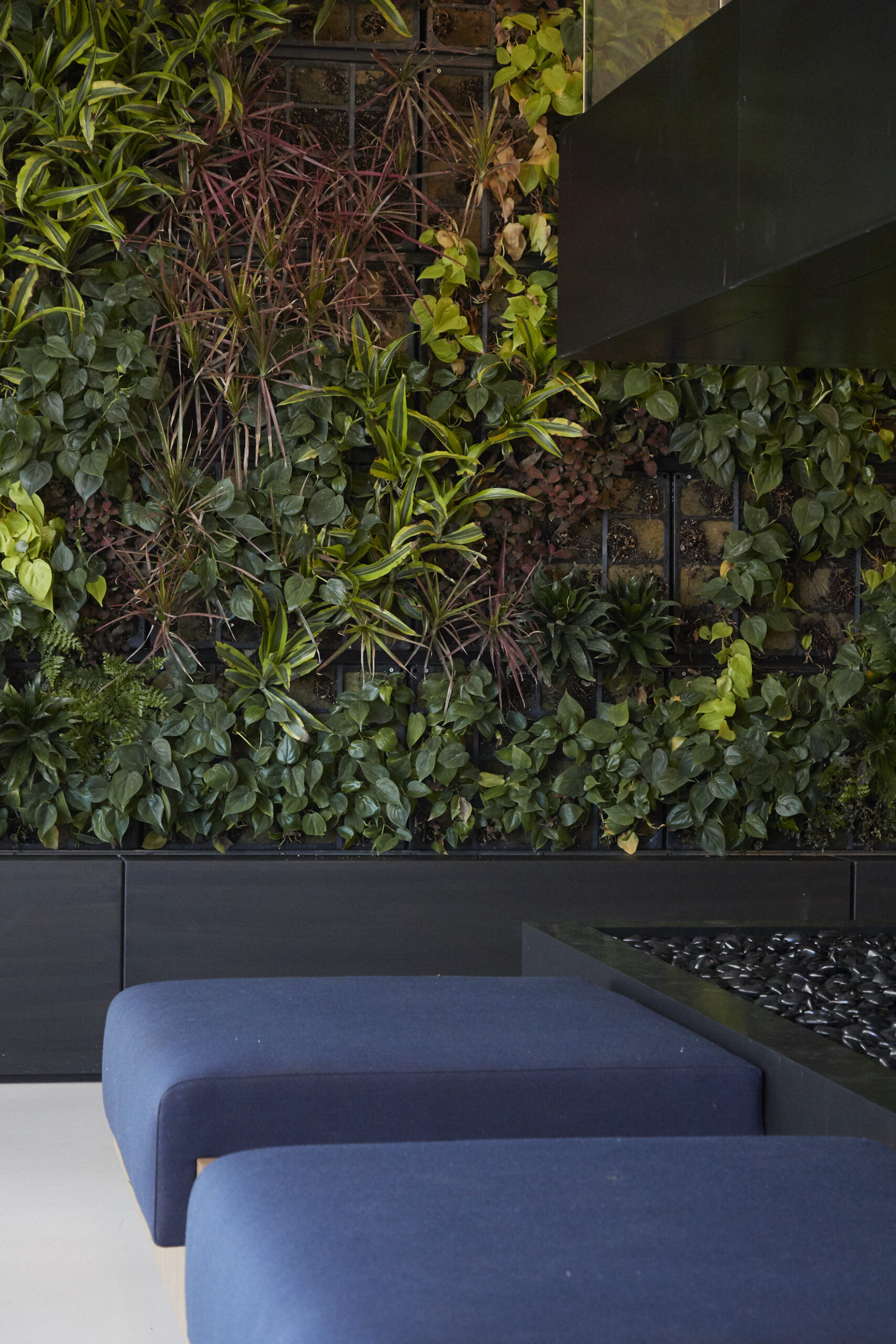 Detail shot of greenery, RSM.