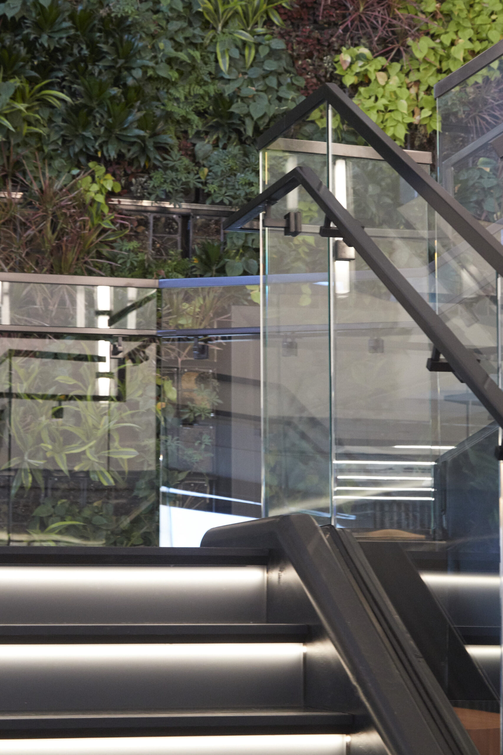 Monumental staircase, RSM.