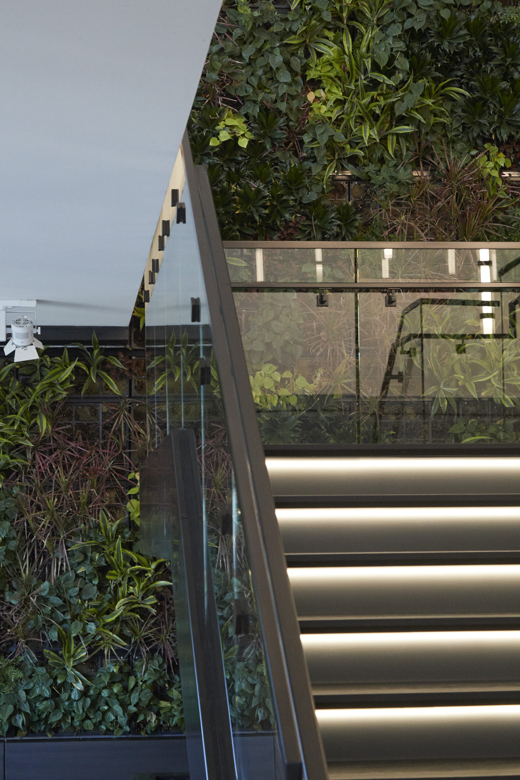 Monumental staircase, RSM.